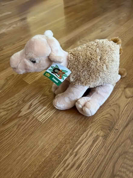 Photo of free Plush stuffed toy Camel (Potomac, MD) #1