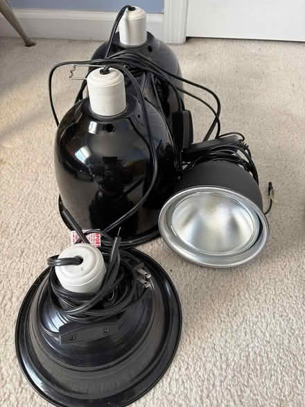 Photo of free Misc. Reptile Supplies (Newark, DE) #2