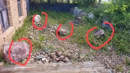 Photo of free Garden rocks to give away (Drewvale, QLD, 4116) #1