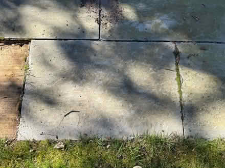 Photo of free Used Patio slabs (Elmstead BR7) #2
