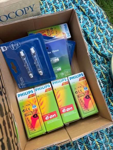 Photo of free Lightbulbs (Stanway, CO3) #1