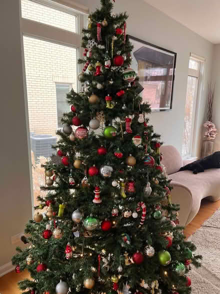Photo of free Christmas tree (Fort Sheridan) #2