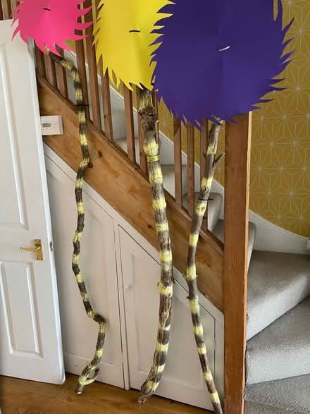 Photo of free Dr Seuss Lorax Trees - Party ! (Pollards Hill SW16) #1