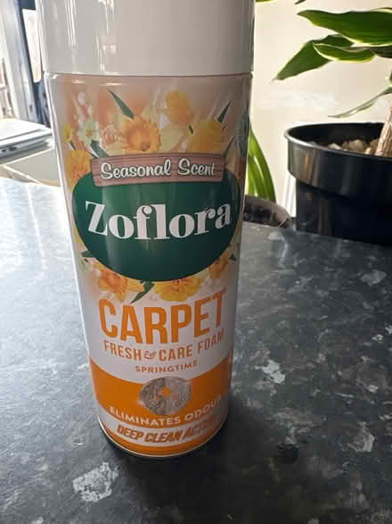 Photo of free Carpet cleaner (Leeds LS8) #1