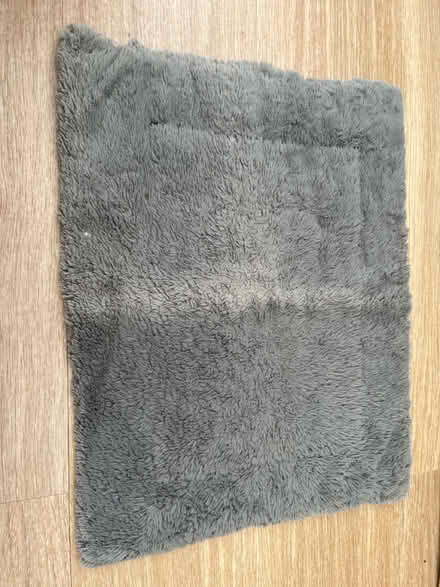 Photo of free Pet’s mat (Beckenham BR3) #2