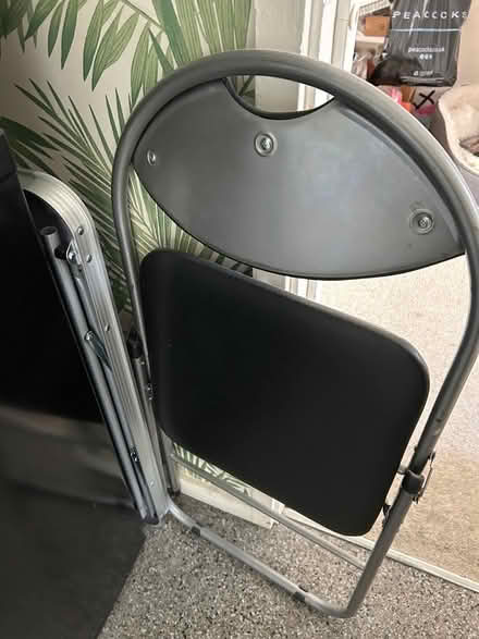 Photo of free Fold up dining chair (Peacehaven) #1