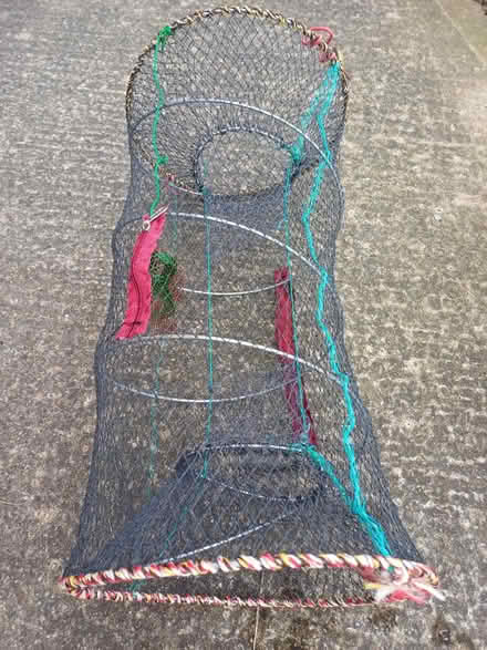 Photo of free Folding crab pot (Heworth. YO31) #2