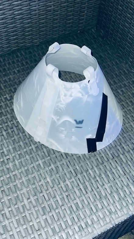 Photo of free 2 x dog cones (Weston super mare) #2