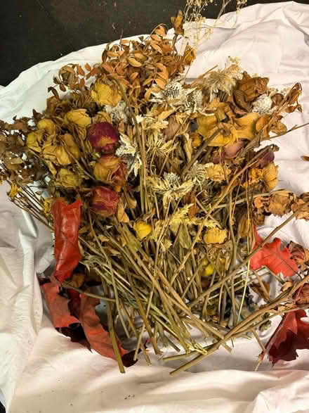 Photo of free Assorted dried leaves and flowers (M21 Chorlton) #1