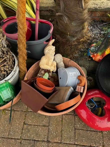 Photo of free Various things for home and garden. Hazel sapling. (Sherwood TN2) #1