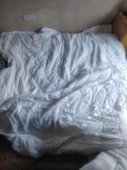 Photo of free 4.5 TOG Superking Duvet (Liphook GU30) #1