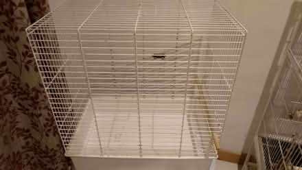 Photo of free Bird cage for small birds/budgies (Dawlish EX7) #1
