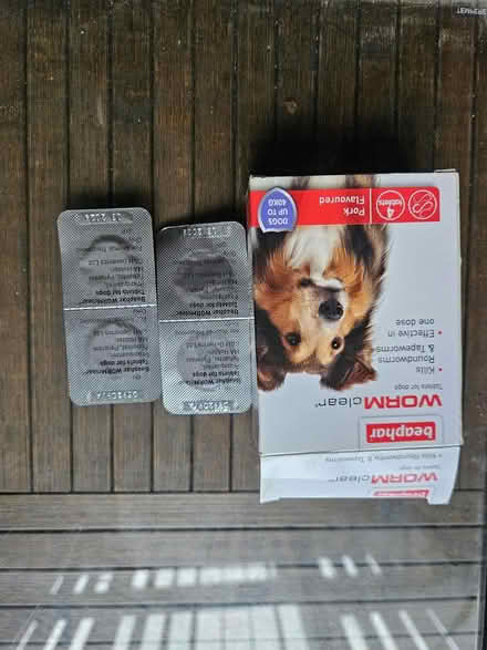 Photo of free Dog wormer (Chorley Moor PR7) #1