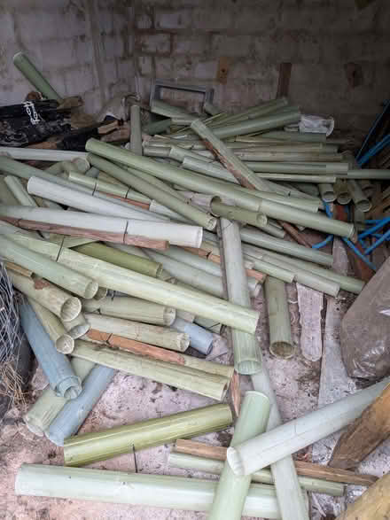 Photo of free Tree Guards (Bampton CA10) #1