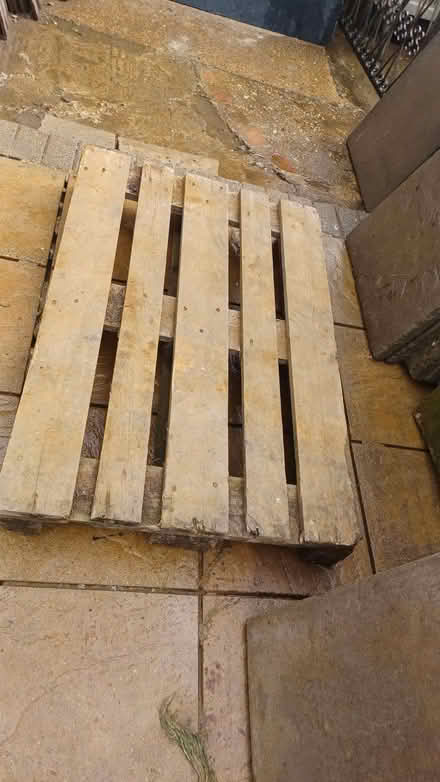 Photo of free Pallets (Wiggenhall St Mary The Virgin PE34) #1