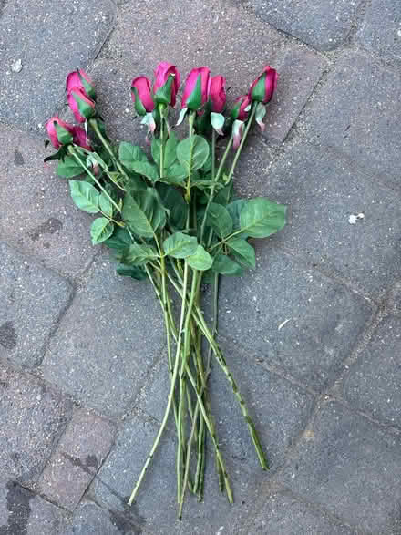 Photo of free Nice decorative roses (Clarendon metro,Arlington, VA) #2