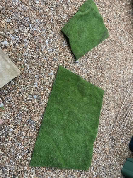 Photo of free 2 prices of artificial grass (Bow Brickhill MK17) #1