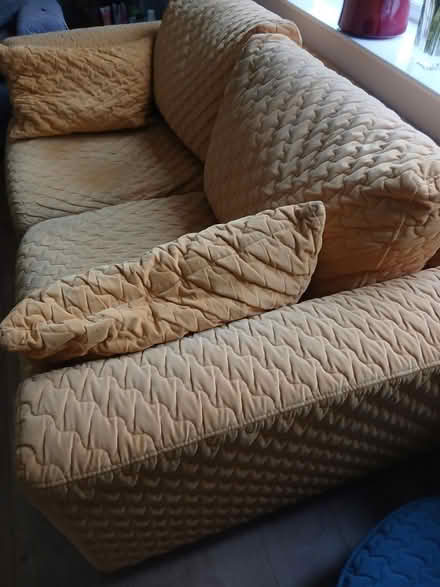 Photo of free Two seater settee-gold colour (Abingdon OX14) #2