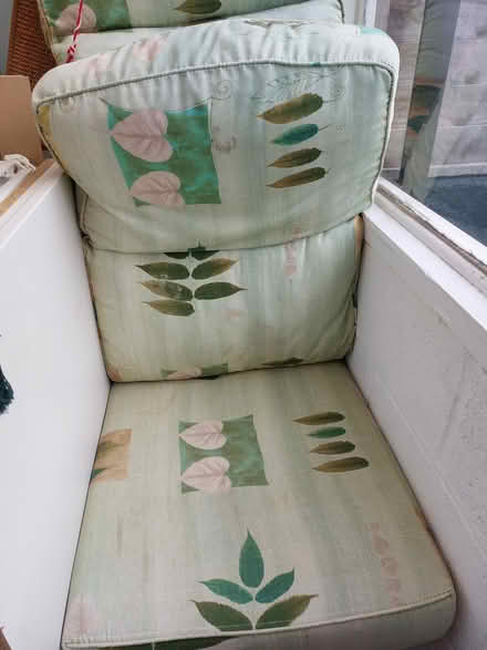 Photo of free Cushions from a sofa (Southsea PO4) #1
