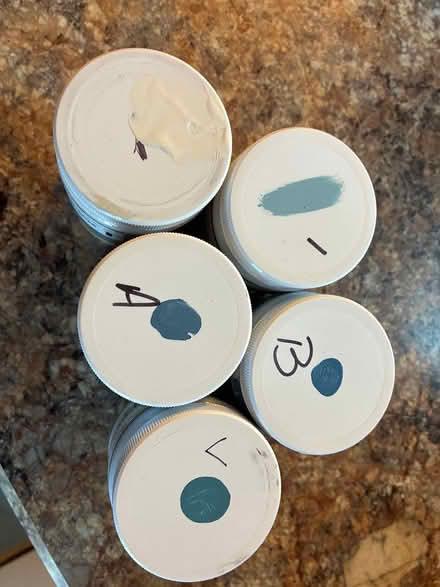 Photo of free Paint samples (Amber meadows 21702) #1