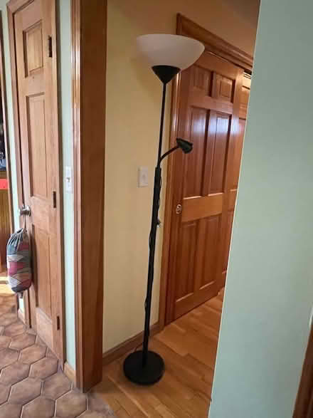 Photo of free Black floor lamp (South Randolph) #1