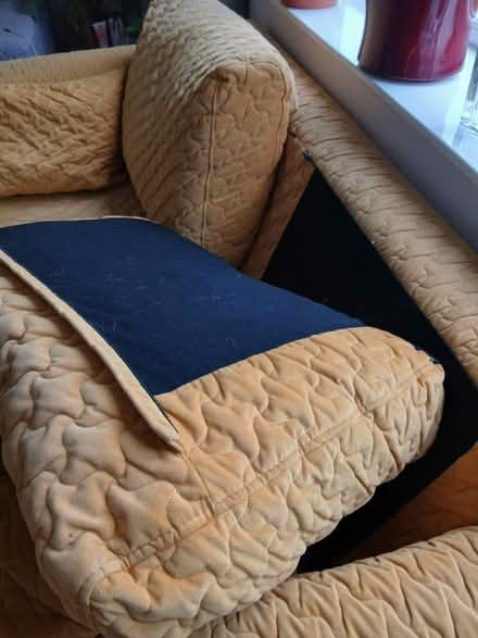 Photo of free Two seater settee-gold colour (Abingdon OX14) #1