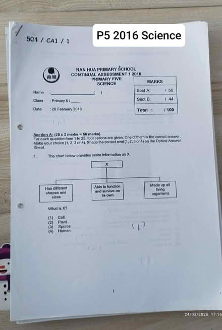 Photo of free P5 past year papers (Tpy) #4