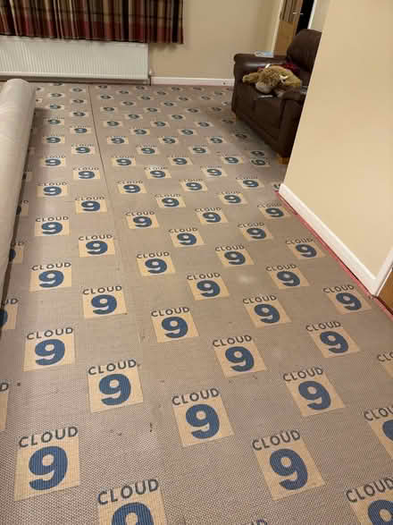 Photo of free Carpet & underlay (Leckhampton GL53) #4