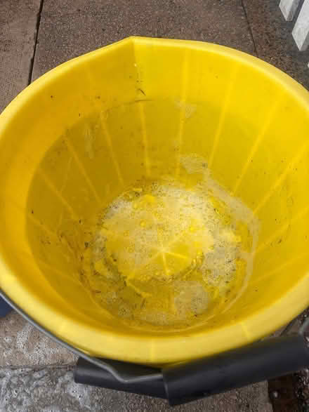 Photo of free Buckets (no holes) (Stockport SK1) #3