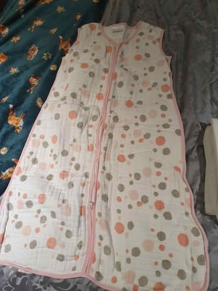 Photo of free 12-18 month sleeping bag (Westbury BA13) #1