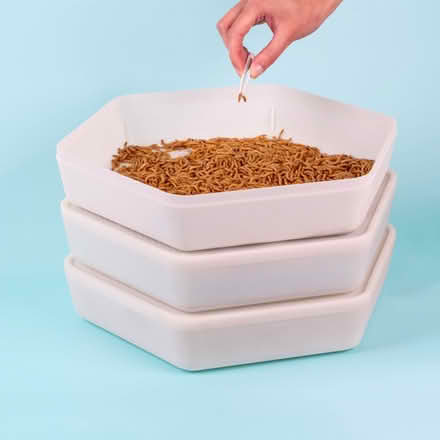 Photo of free Bug factory - meal worm grower kit (Shoreham BN43) #1
