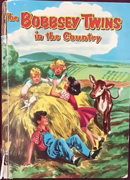 Photo of free Bobbsey Twins Book (Alta Vista) #1