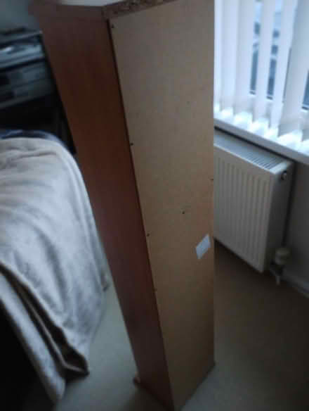 Photo of free Tall CD shelve unit (Pembrey SA16) #2