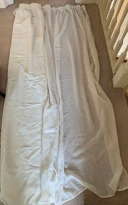 Photo of free Voile Curtains (Beeston NG9) #1