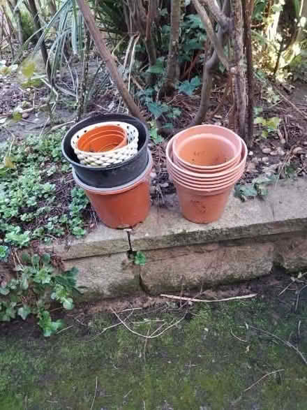 Photo of free Houseplants need tlc & pots, pots (North Lichfield WS13) #2