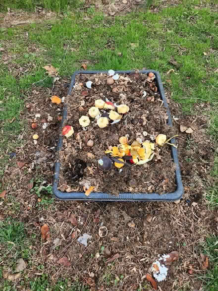 Photo of free Compost (Rockville) #1