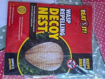 Photo of free Decoy wasp nest, GU22 (Woking, GU22) #1