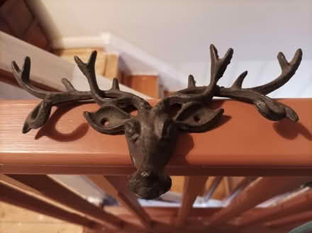 Photo of free Deer key holder (NR8 Taverham) #1