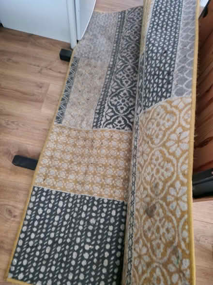 Photo of free 160x230 rug good for garage or pets (Biddulph) #1