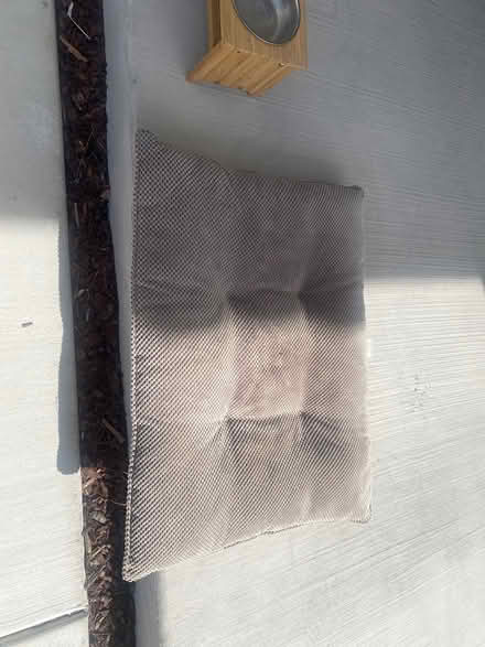 Photo of free Dog floor cushion (Concord -Colony Park) #1