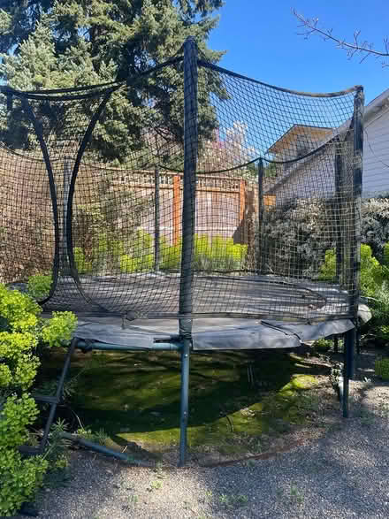 Photo of free Trampoline (NE Portland) #1