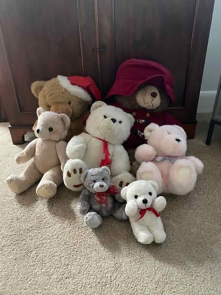 Photo of free Teddy bears (Privett PO12) #1