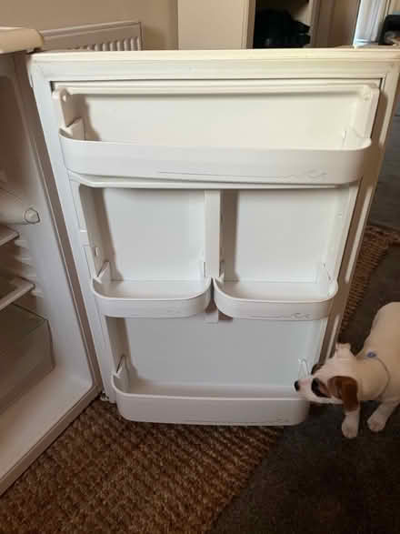 Photo of free Beko Fridge (Le65) #4