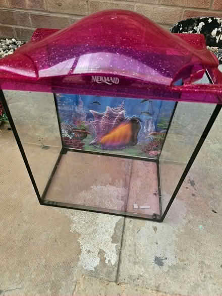 Photo of free Small glass fish tank (Cherry hinton) #1