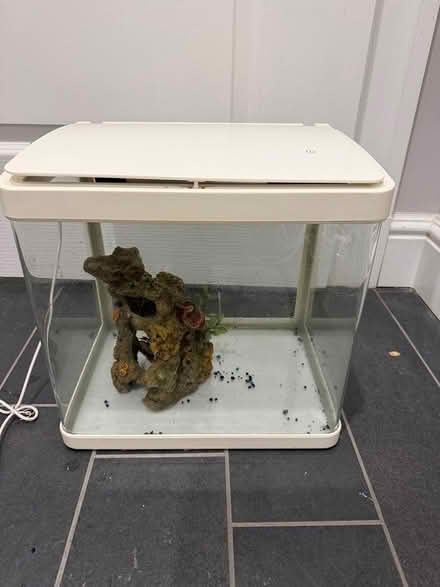 Photo of free Imagitarium Fish tank (Coolidge Corner, Brookline) #1