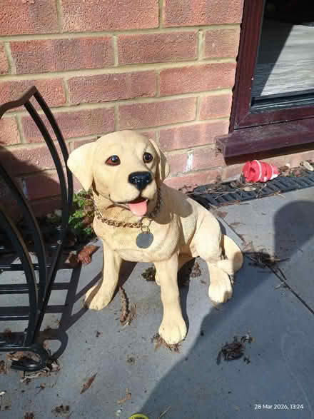 Photo of free Small labrador statue (CT2) #1