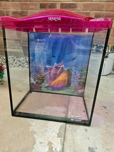 Photo of free Small glass fish tank (Cherry hinton) #2