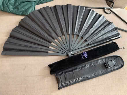 Photo of free Two glittery fans (Near Lincoln Park) #1