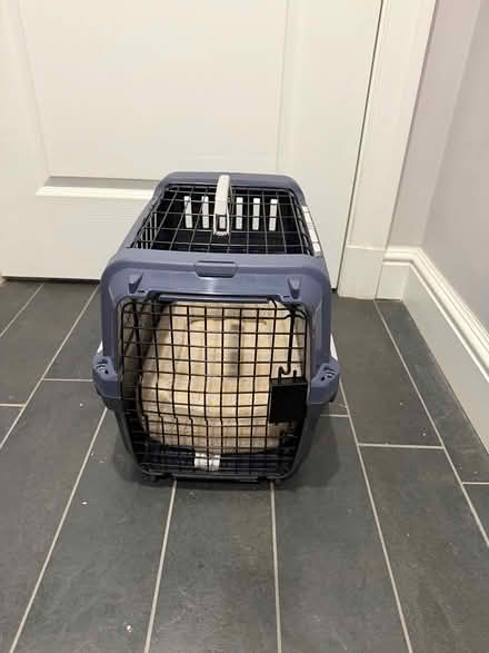 Photo of free Pet Carrier (Coolidge Corner, Brookline) #1