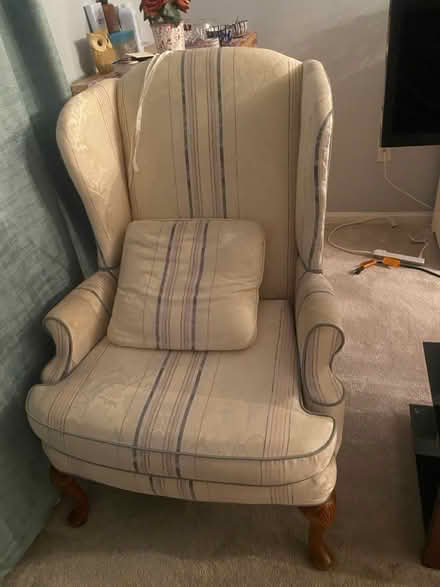 Photo of free 2 comfy beauties (Montgomery Village) #1
